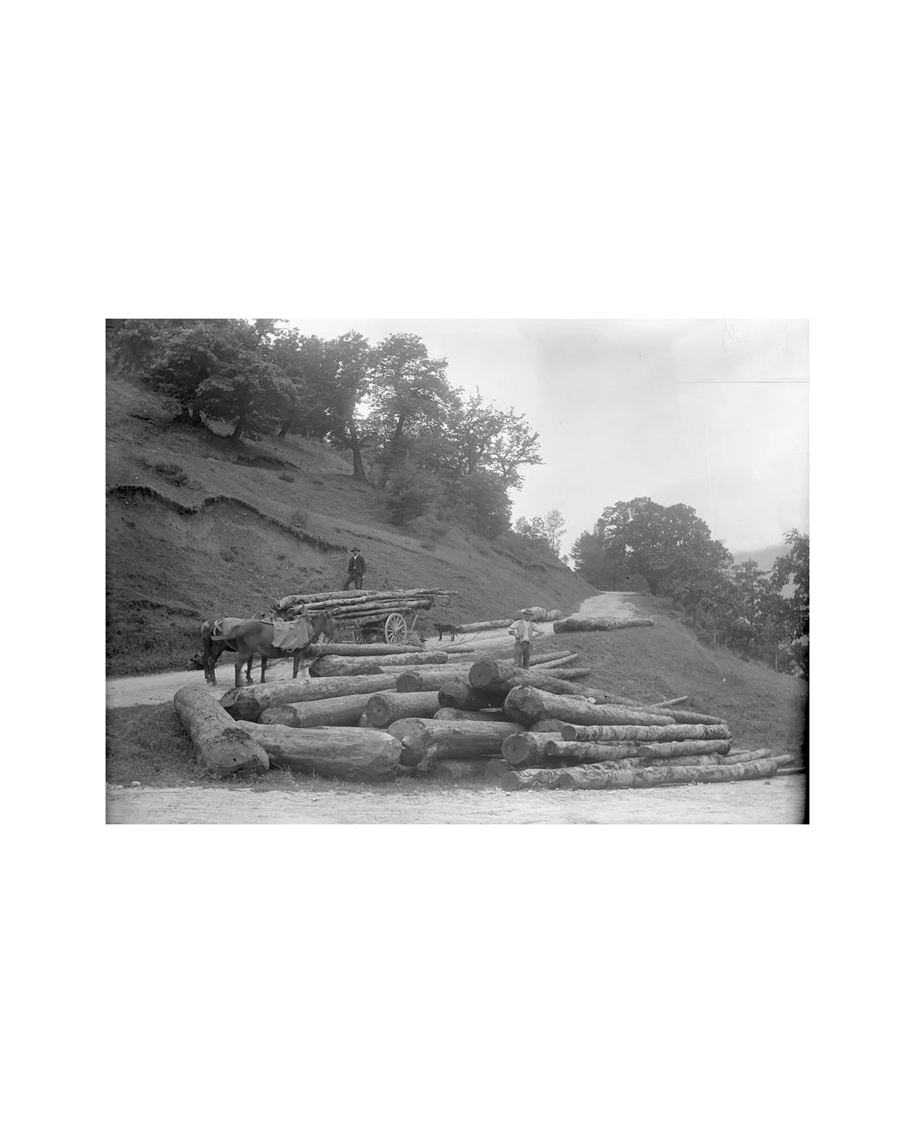 Forêt de Lente - Débardage Bois - Historique Alpin